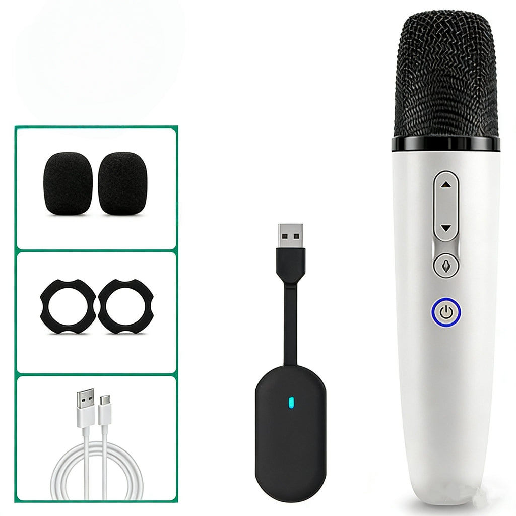 Car Karaoke Microphone for Deepal S05/S07/S7/L07/G318/SL03
